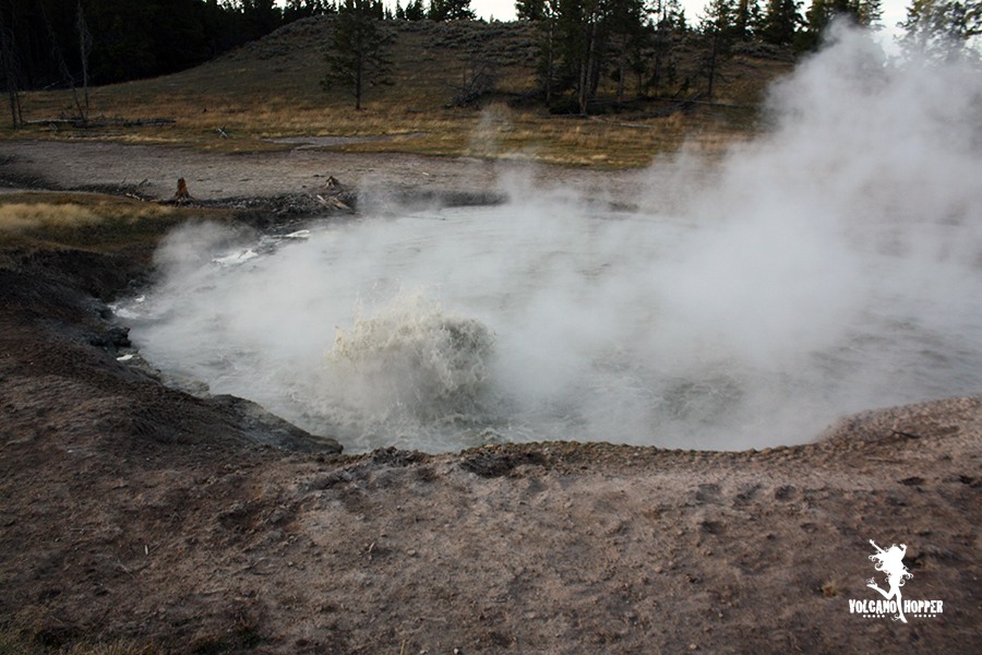 Yellowstone: Mud Volcano, Sulphur Caldron & Hayden Valley - Volcano Hopper