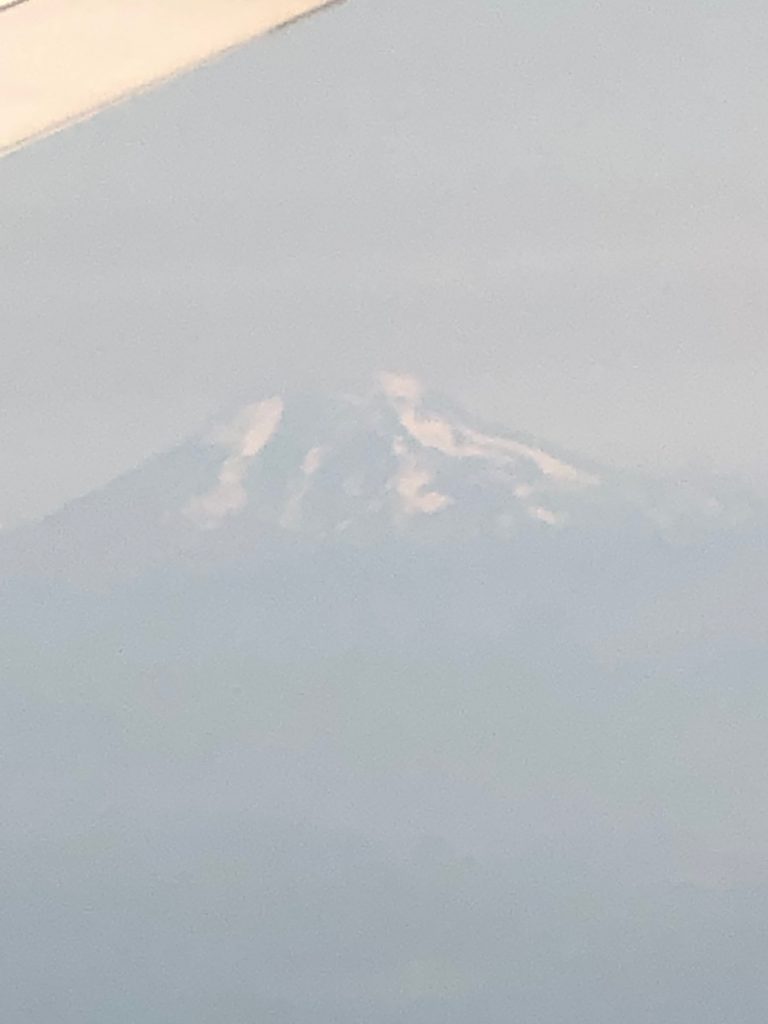 Mt. Adams seen from the air.