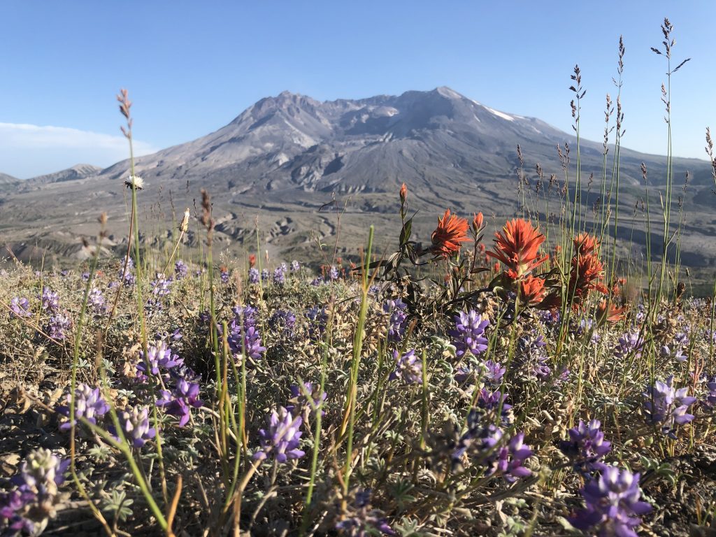 Mount St. Helens